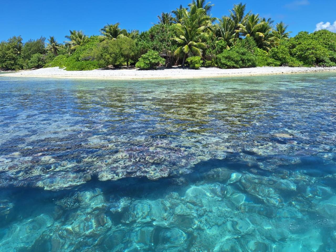 Апартаменты Penu Maurua Te-Fare-Arii Номер фото